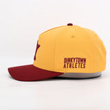 DINKYTOWN ATHLETES | STATE ICON | HAT - GOLD