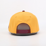 DINKYTOWN ATHLETES | STATE ICON | HAT - GOLD