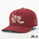 GOPHER HOCKEY | HAT